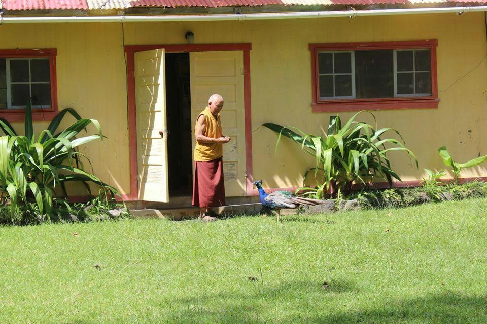 Wood Valley Temple-帕哈拉必去景点