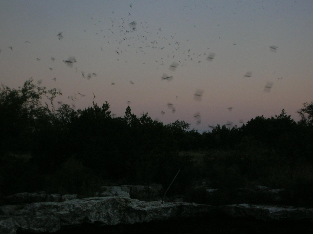 Devil's Sinkhole State Natural Area-Rocksprings必去景点