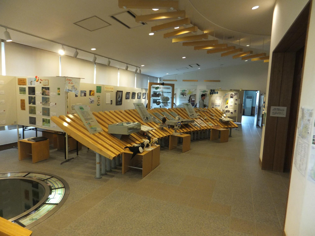 Hokkaido Seabird Center-羽幌町必去景点
