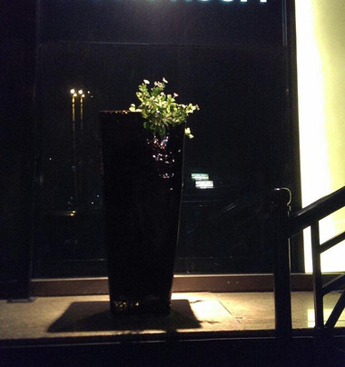 The Music Room-迪拜必去景点