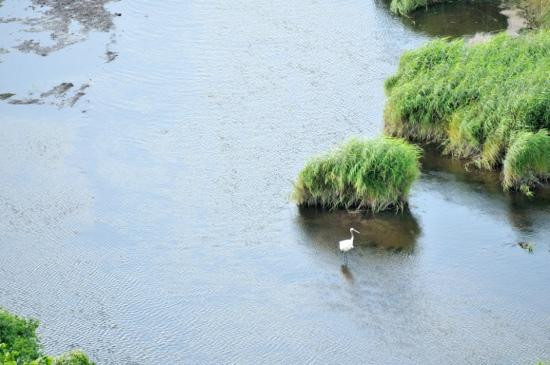 Kottaro Swamp Observatory-标茶町必去景点