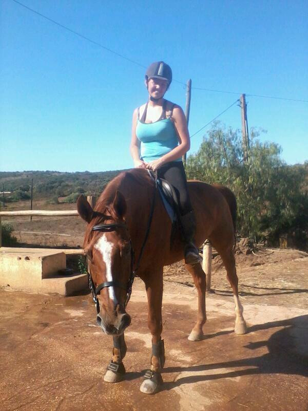 QPA Horse Riding Centre景点图片