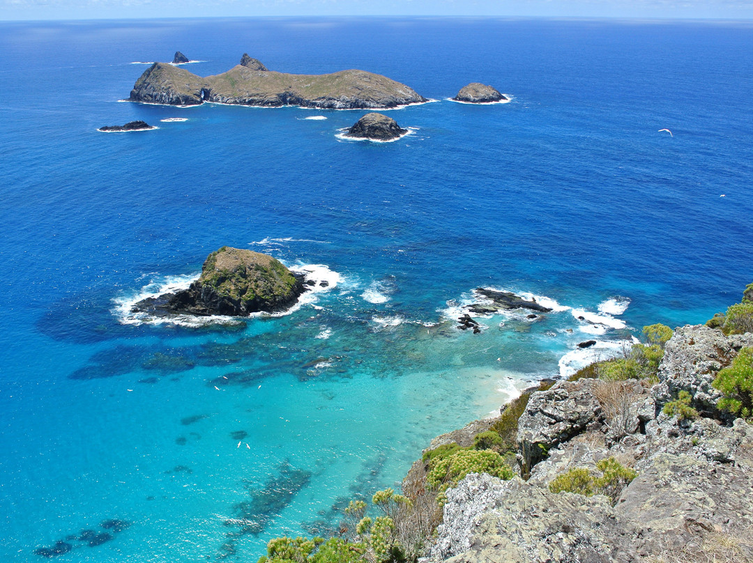 豪勋爵群岛旅游攻略图片
