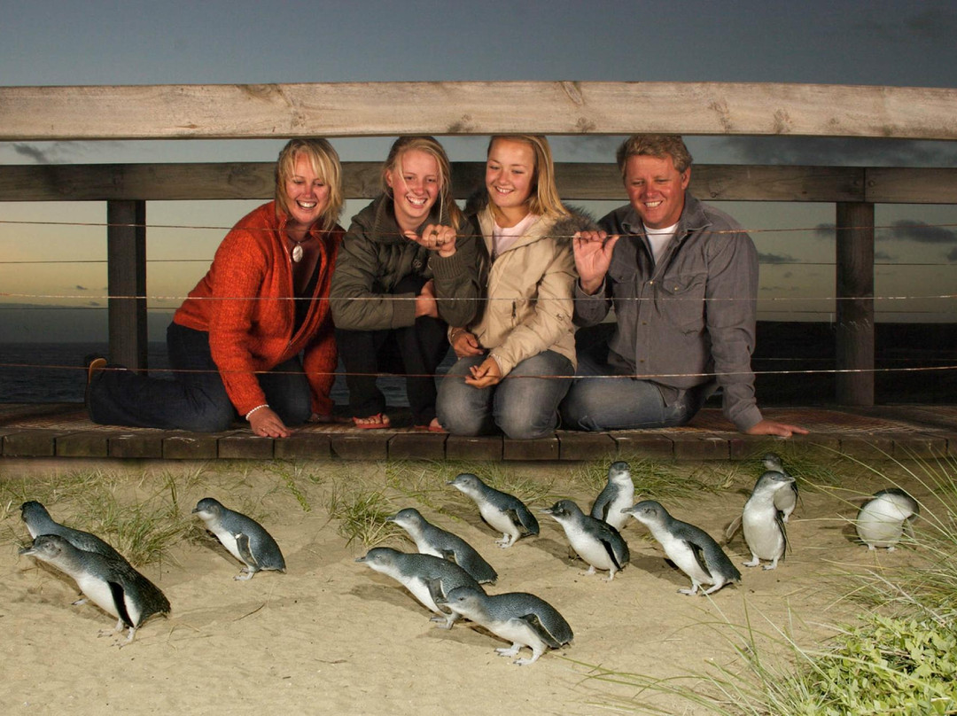 墨尔本最佳一日游-墨尔本必去景点