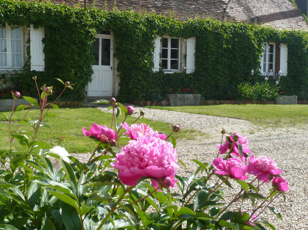 Domaine de Montgenoux主图