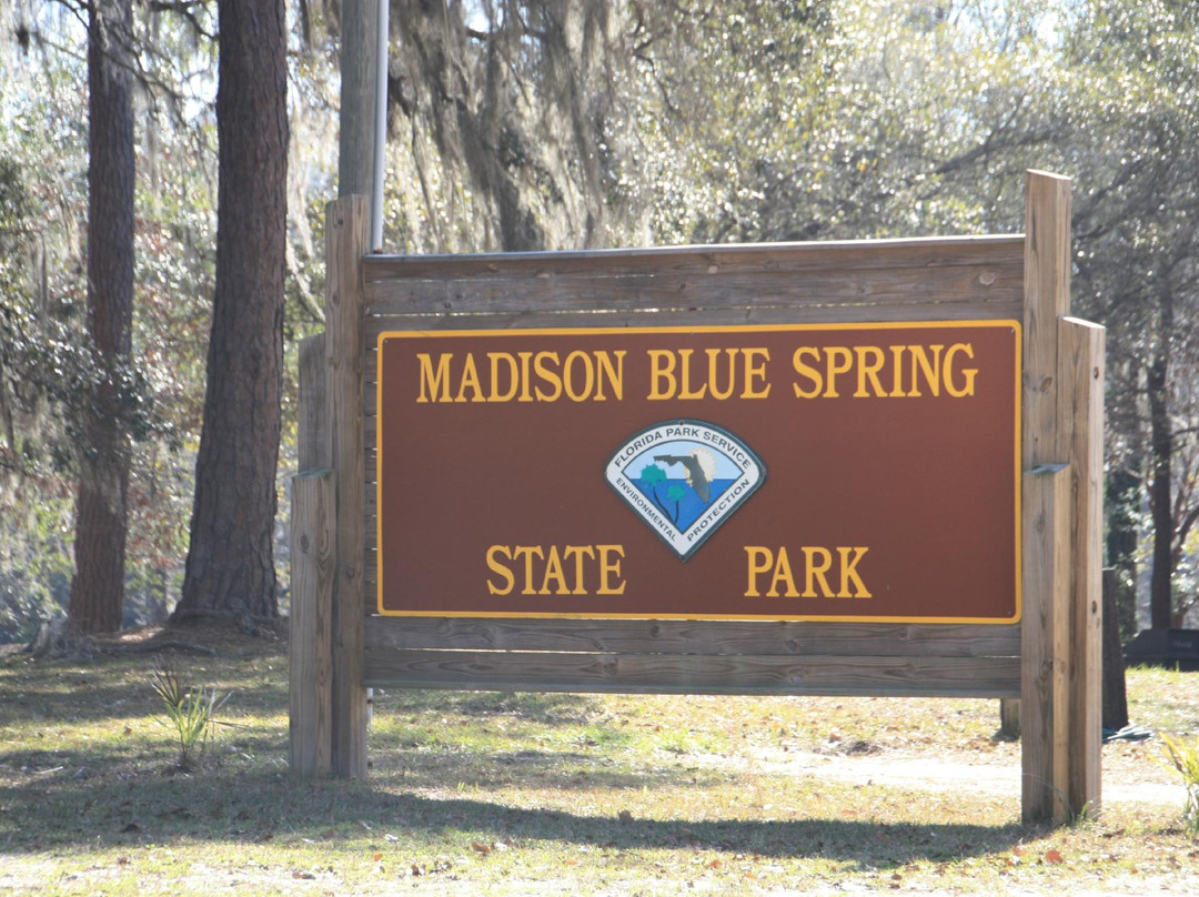 Madison Blue Springs State Park-Lee必去景点