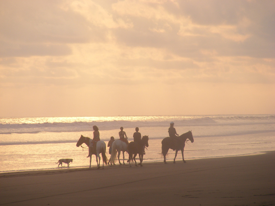 Establo San Rafael Natural Horsemanship景点图片