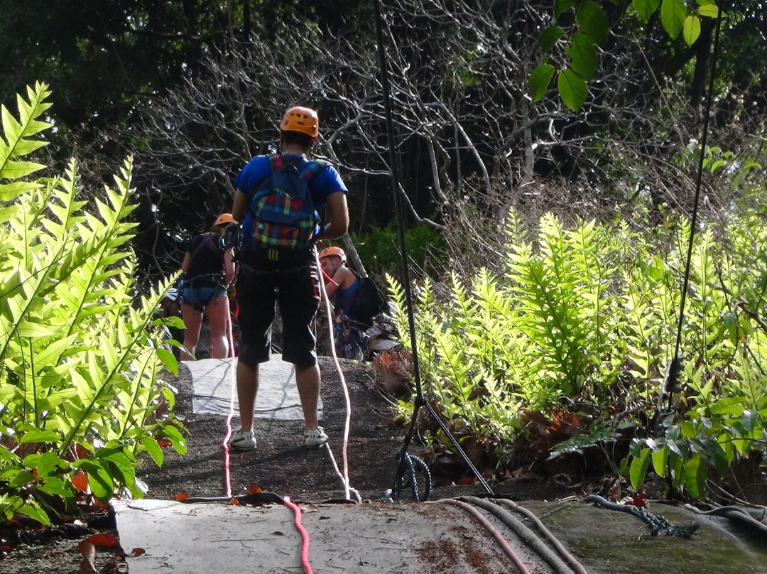 Langkawi Canopy Adventures景点图片