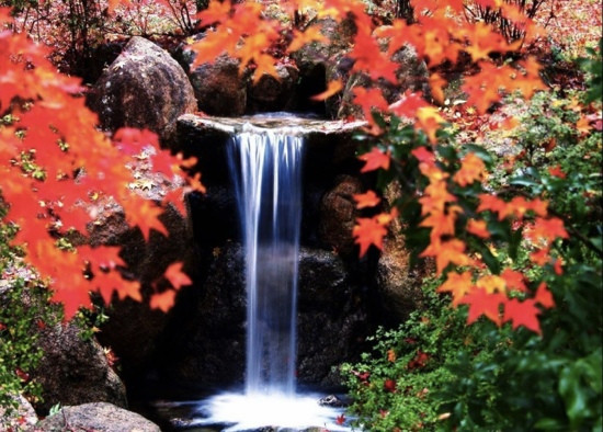 郴州莽山国家森林公园-宜章县必去景点