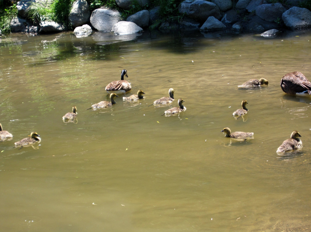 爱德华公园-多伦多必去景点