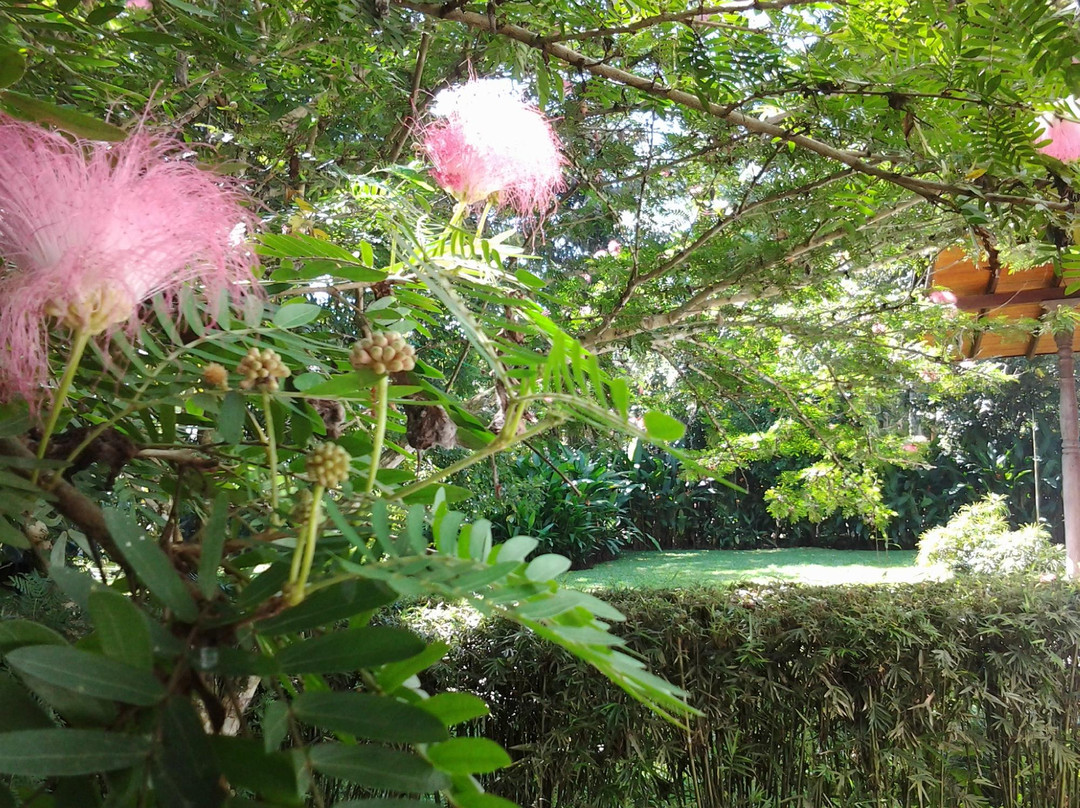 The Garden House主图