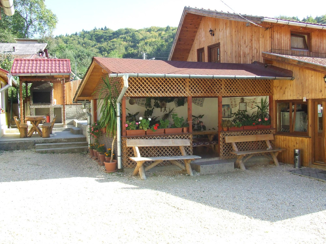 Casa Rasnoveana主图