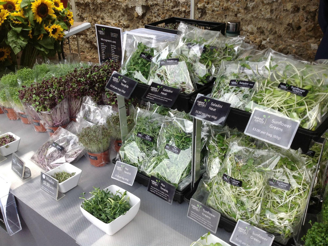 霍巴特周日集市-霍巴特必去景点