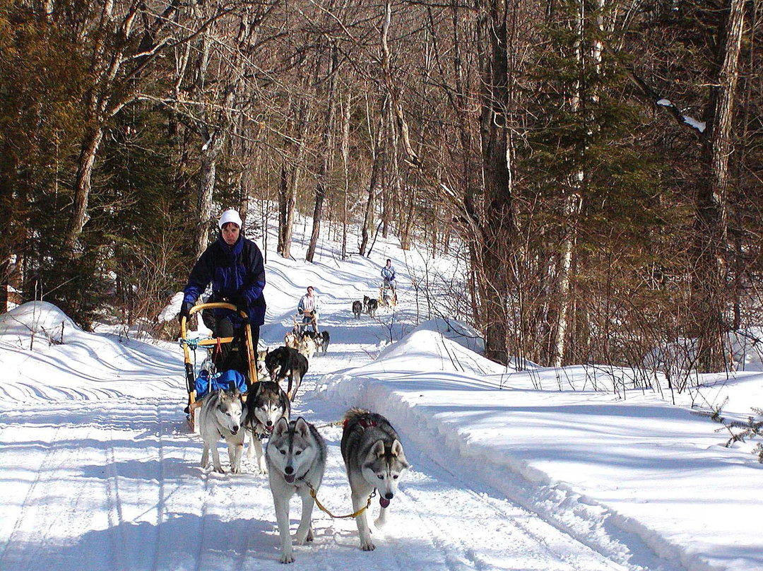 Haliburton Forest and Wild Life Reserve景点图片