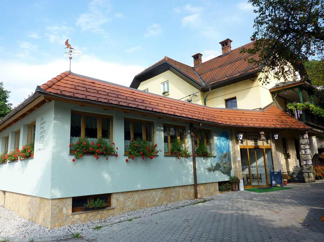 Stahovica酒店住宿-Gostilna Pri Planinskem Orlu