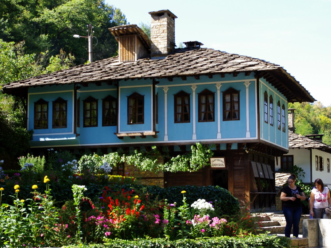 Open Air Ethnographic Museum ETAR景点图片