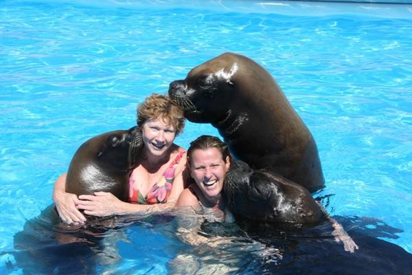 Swim With Sea Lions-夸尔泰拉必去景点