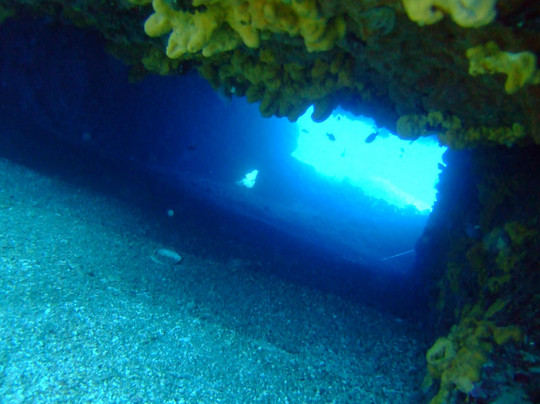 European Diving Institute - Centre de plongee en Crete-伊拉克利翁必去景点