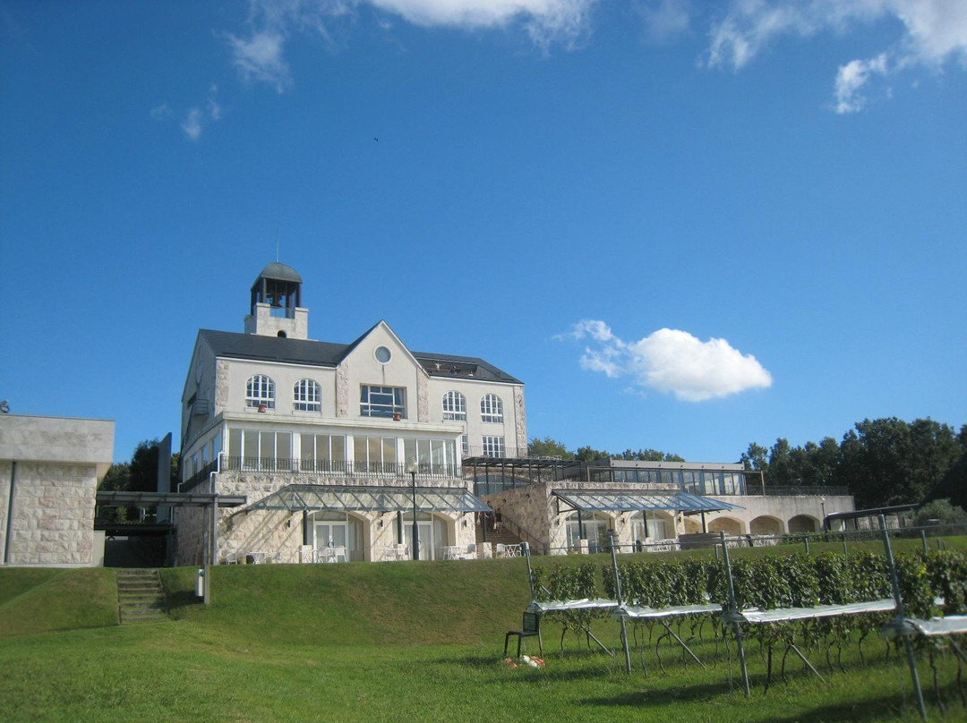 Nakaizu Winery Chateau T. S-伊豆市必去景点