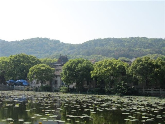 普陀山宗教风景区-绥滨县必去景点