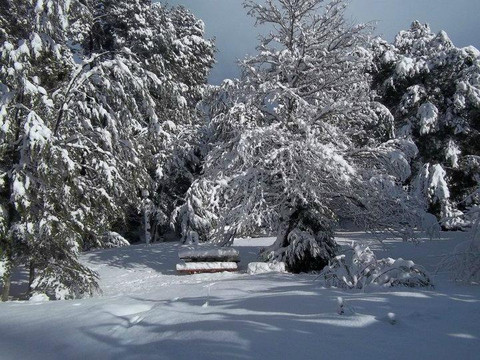 Villa Traful酒店住宿-Hosteria Cohuel