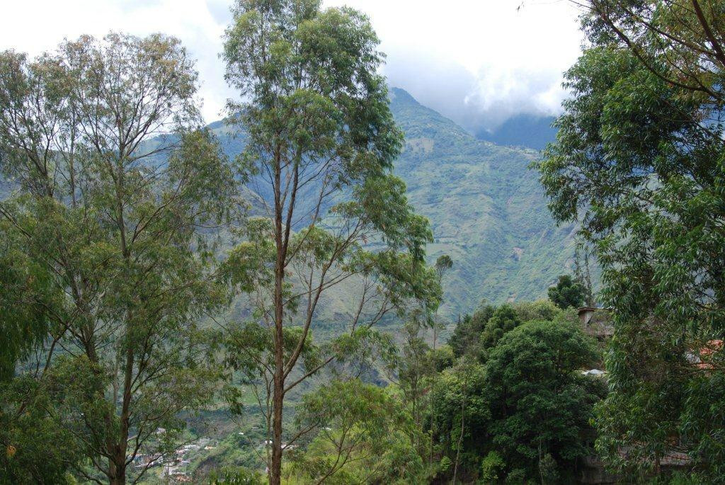 Estancia Dulcelina主图