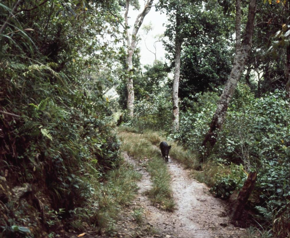 Saltwater Well, Wamena-瓦梅纳必去景点