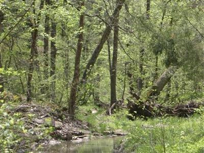 The Country Lodge at Sabbath Song Farm主图