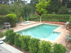 树顶家庭式旅馆主图