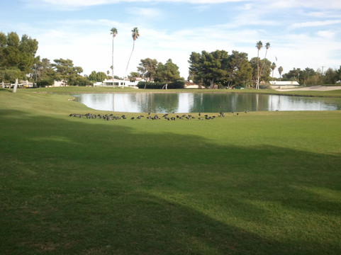 拉斯维加斯国家高尔夫俱乐部-拉斯维加斯必去景点