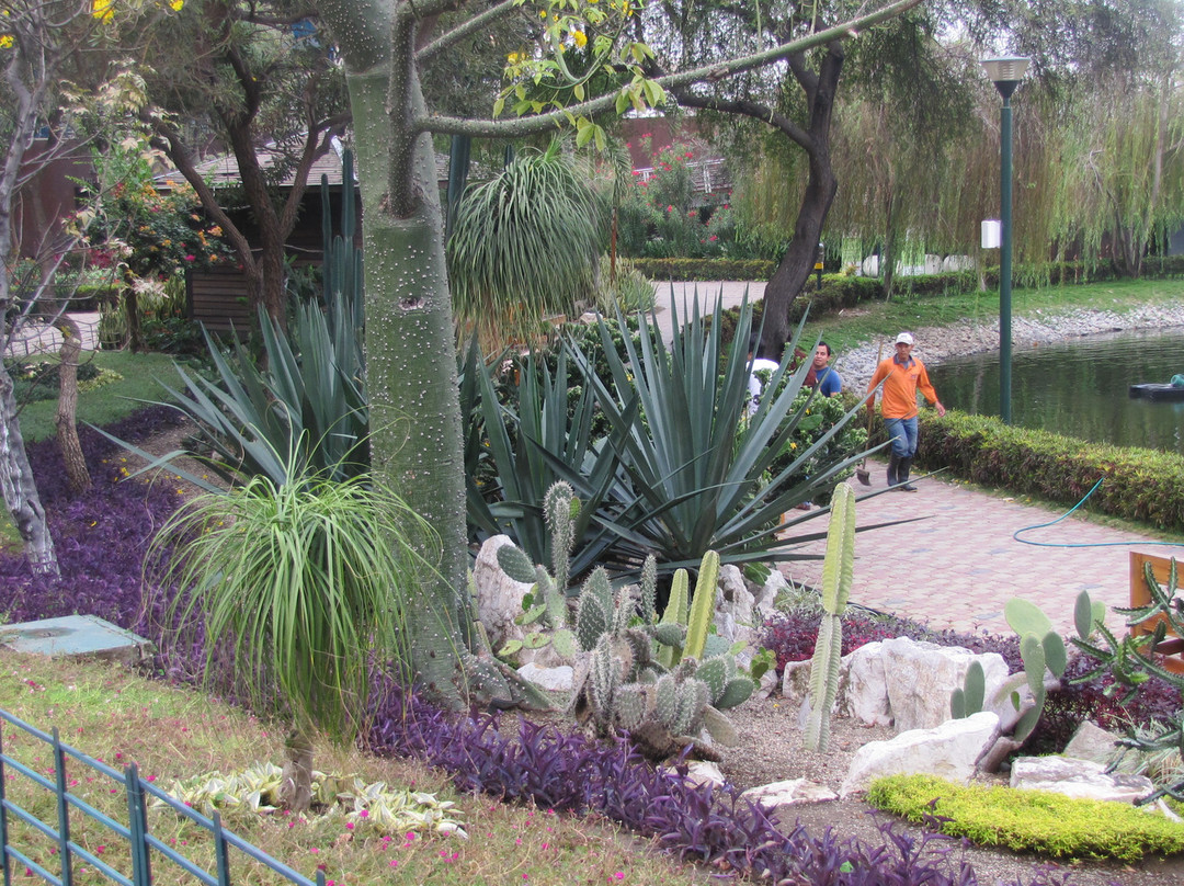 马雷贡2000河滨步道-瓜亚基尔必去景点
