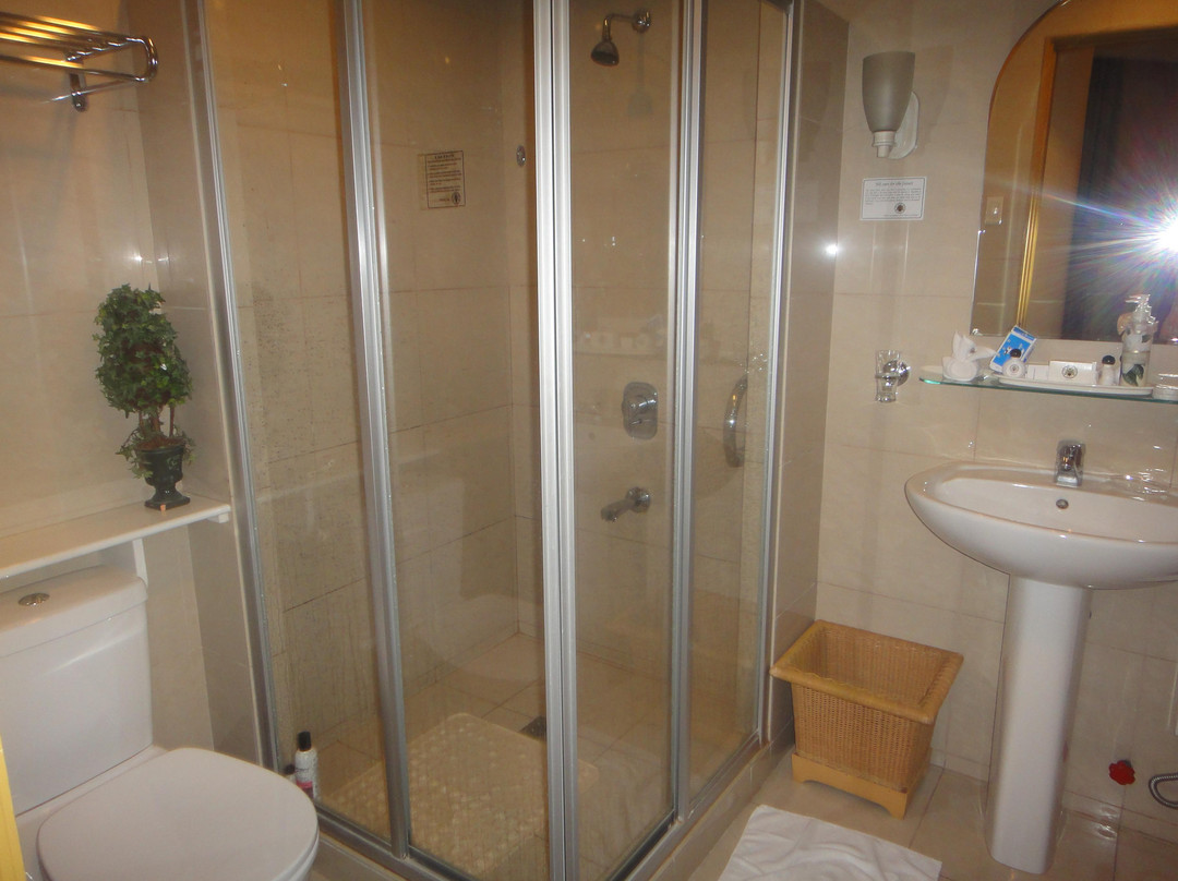 圣母院的大酒店主图