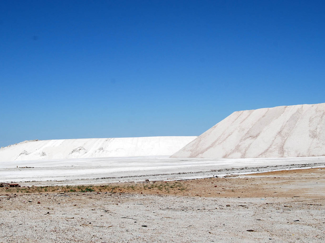 Salinas del Bebedero-San Luis必去景点
