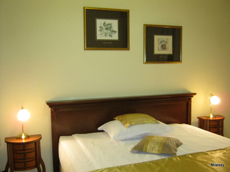 Garni Hotel Andric主图