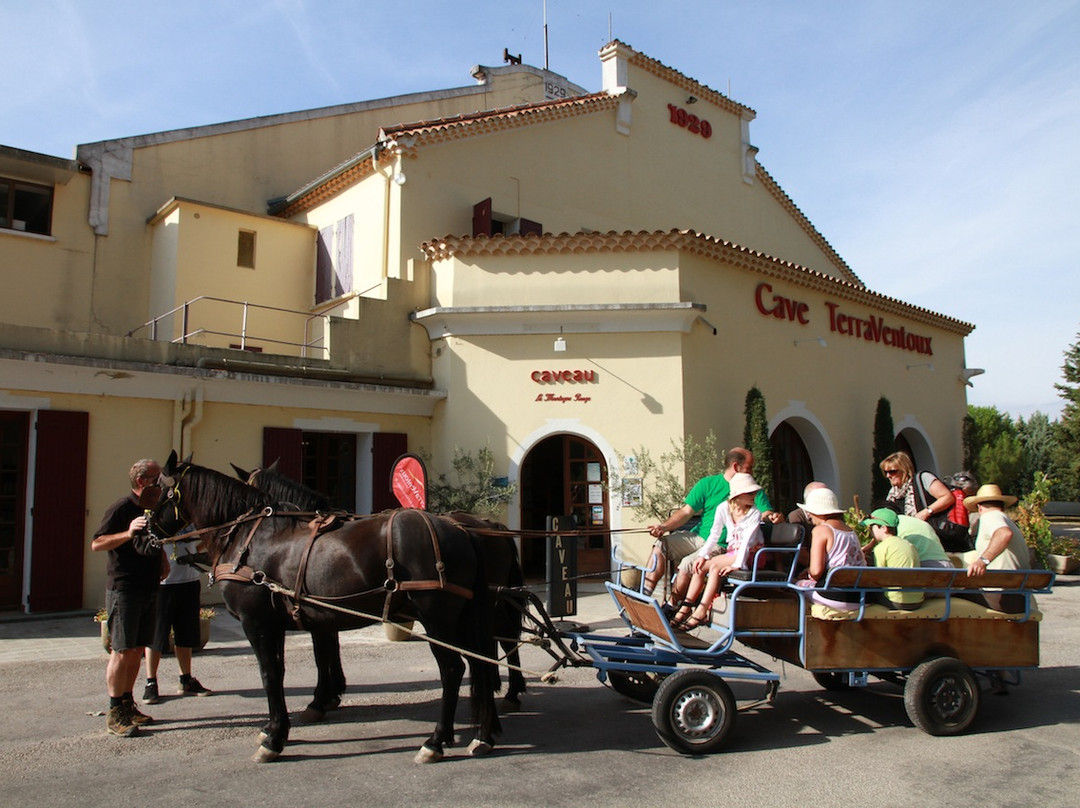 TerraVentoux-Villes-sur-Auzon必去景点