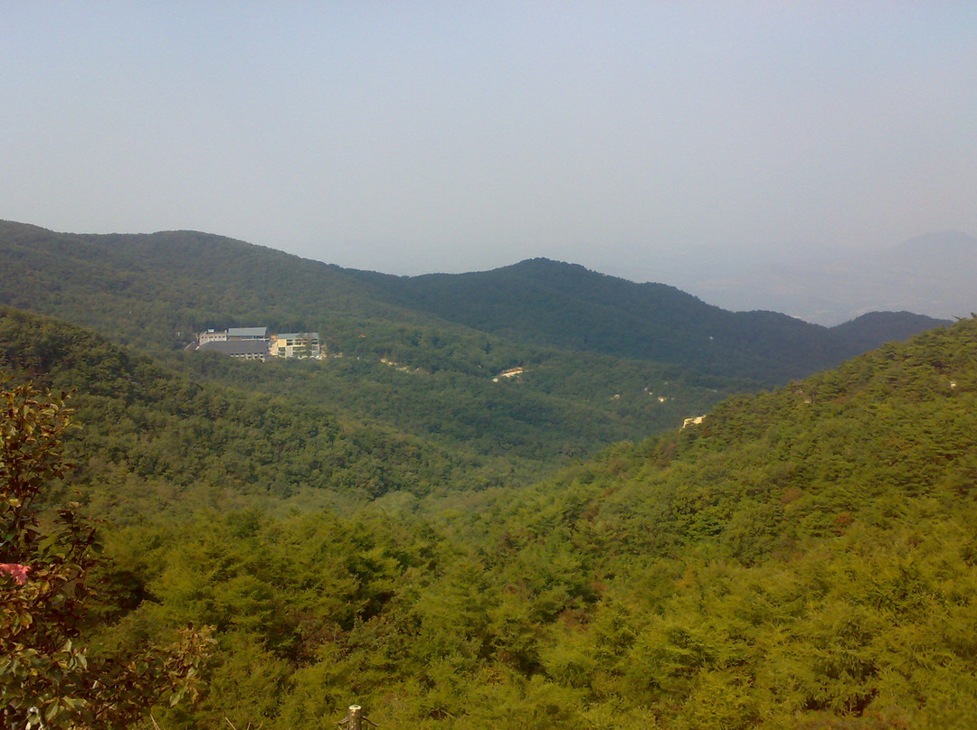 蒙山森林公园-蒙阴县必去景点