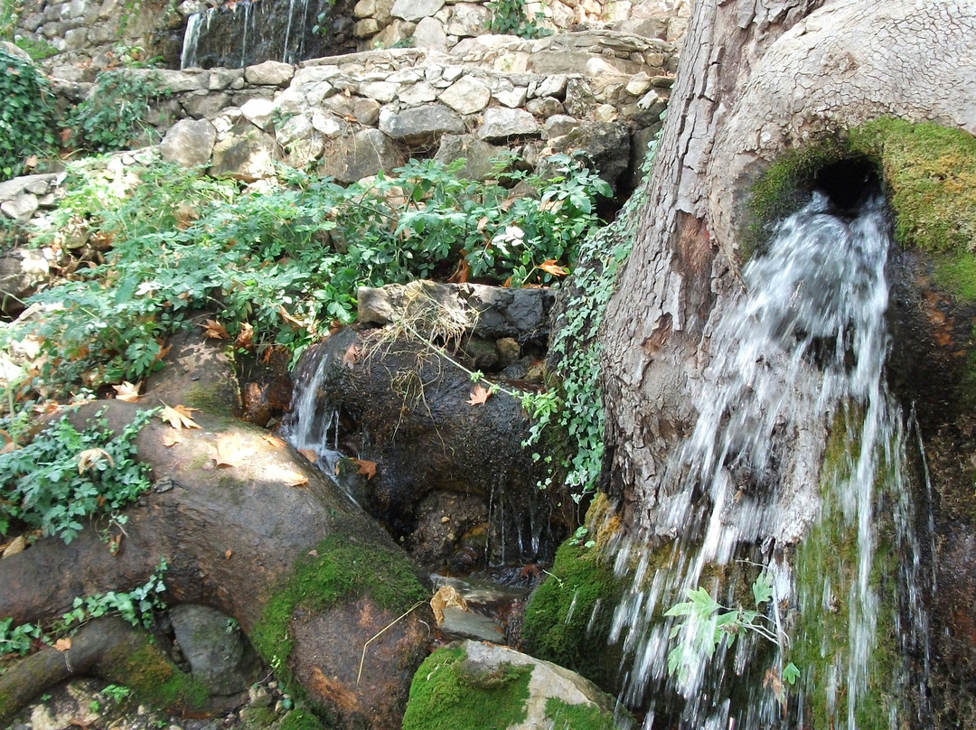 Selale Yaka Park景点图片