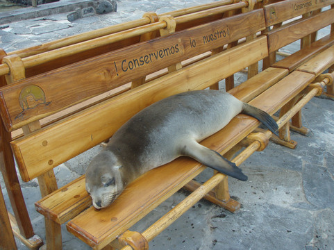 Cruise In Galápagos-阿约拉港必去景点