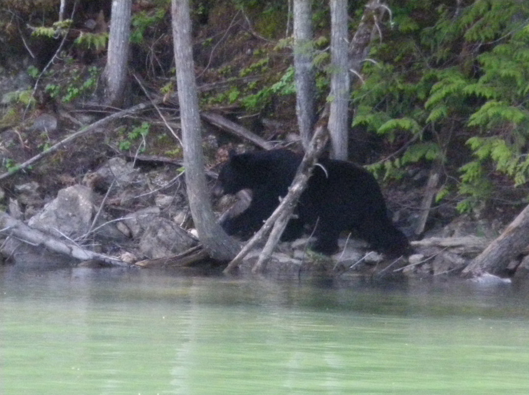 River Safari-Blue River必去景点