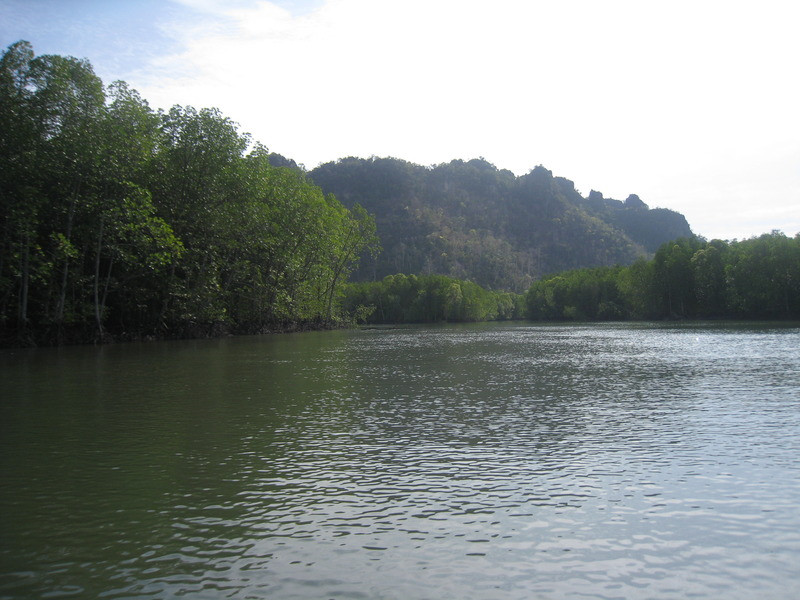红树林之旅-兰卡威必去景点