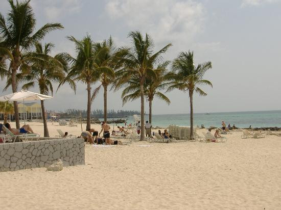 卢卡亚港口集市-弗里波特必去景点