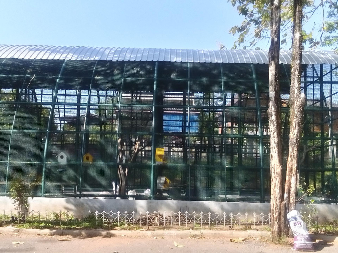 Sa Kaphang Surin Park-董里必去景点