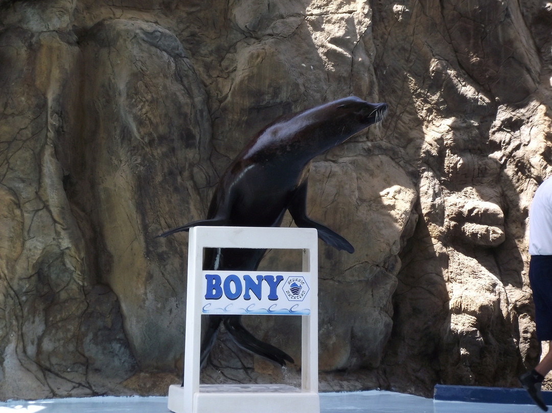 Gran Acuario Mazatlán Mar de Cortés-马萨特兰必去景点