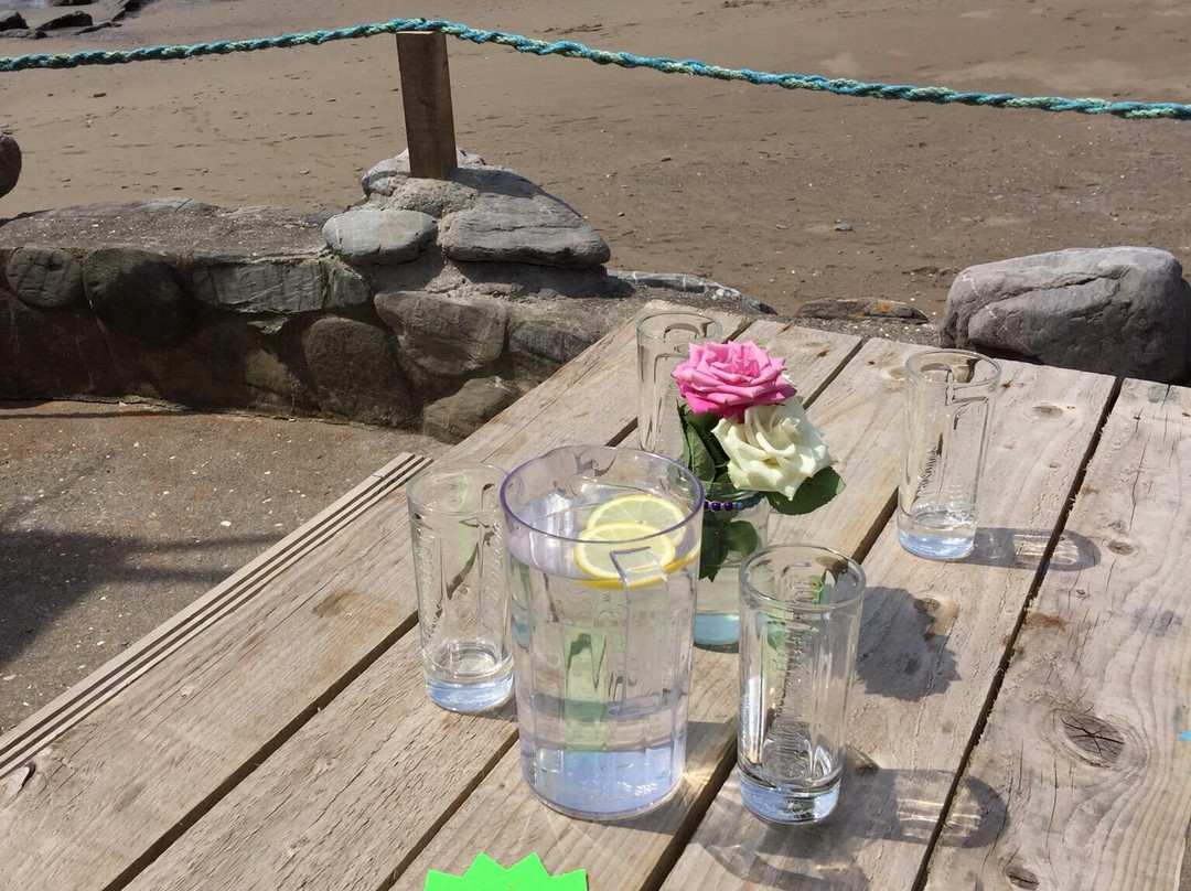 Eddystone Beach Cafe