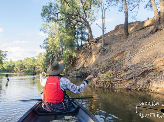 PaddleWild Adventures