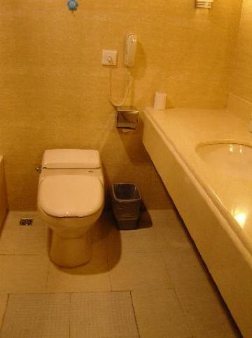 戴斯温德姆酒店（张家界武陵源标志门店）-浴室