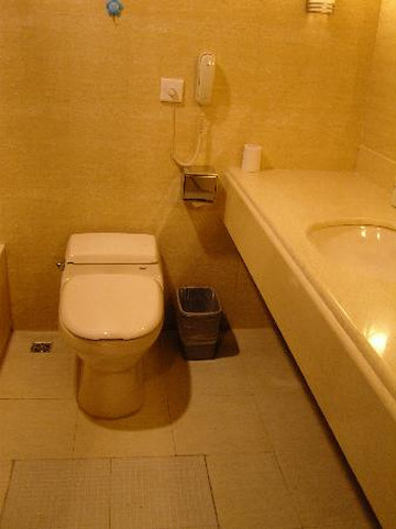 戴斯温德姆酒店（张家界武陵源标志门店）主图