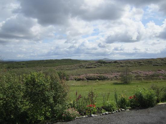 Moorland Guesthouse