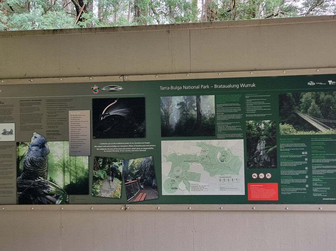Tarra-Bulga National Park-Balook必去景点