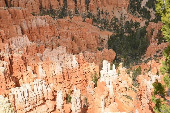 布赖斯峡谷-布莱斯峡谷国家公园必去景点